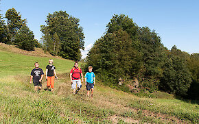 Wandern im Bayerischen Wald